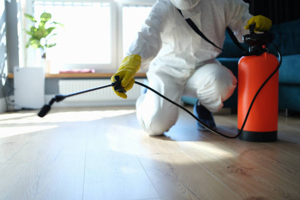 Reliable Biohazard contractor in Springville, NY by Trauma Clean Pros